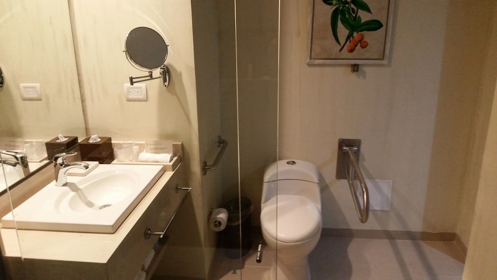 Wyndham Garden Barranquilla 14/57