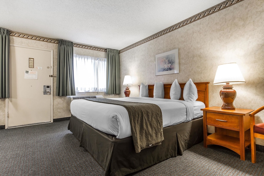 Quality Inn And Suites Silicone Valley 8/41