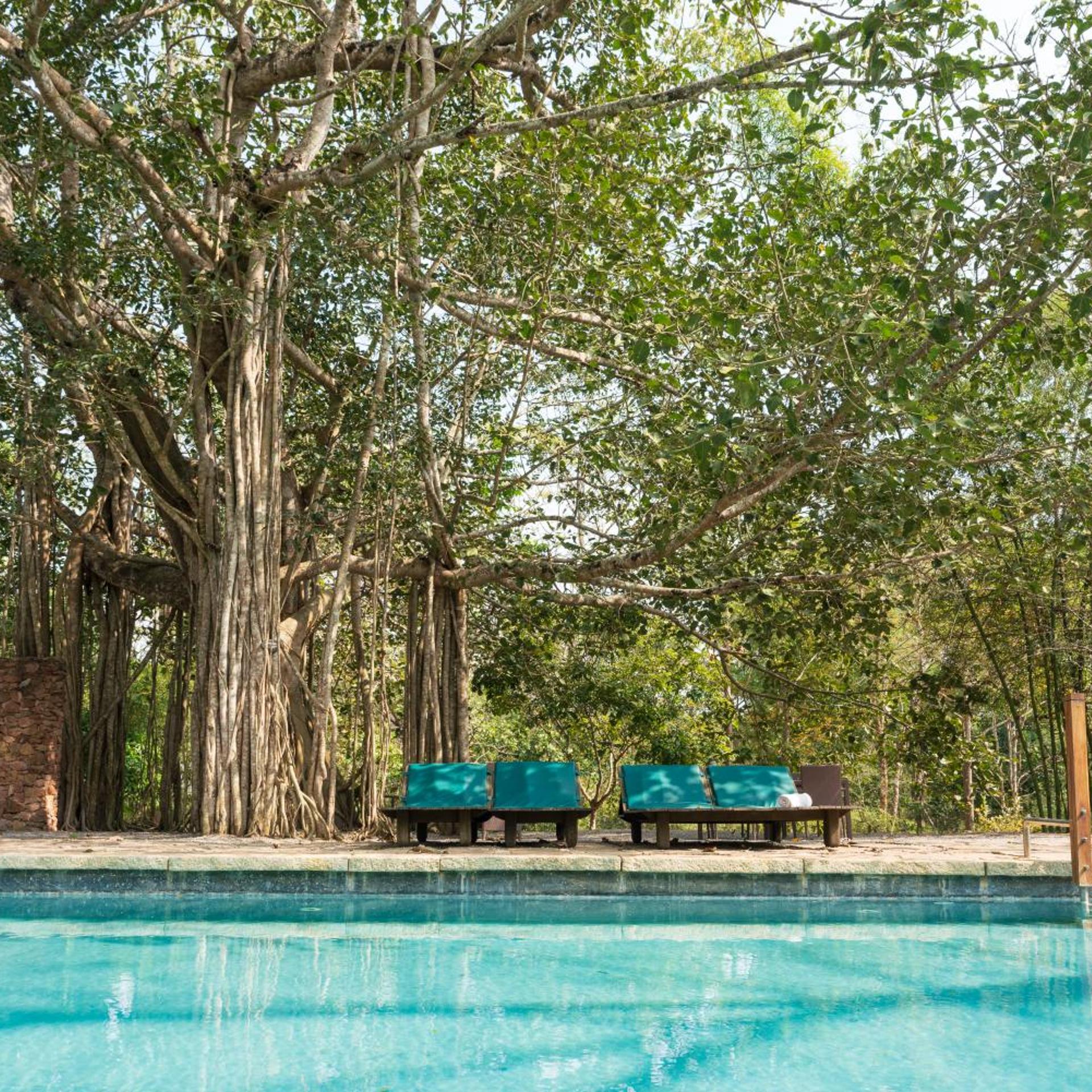 Kaav Safari Lodge 27/31