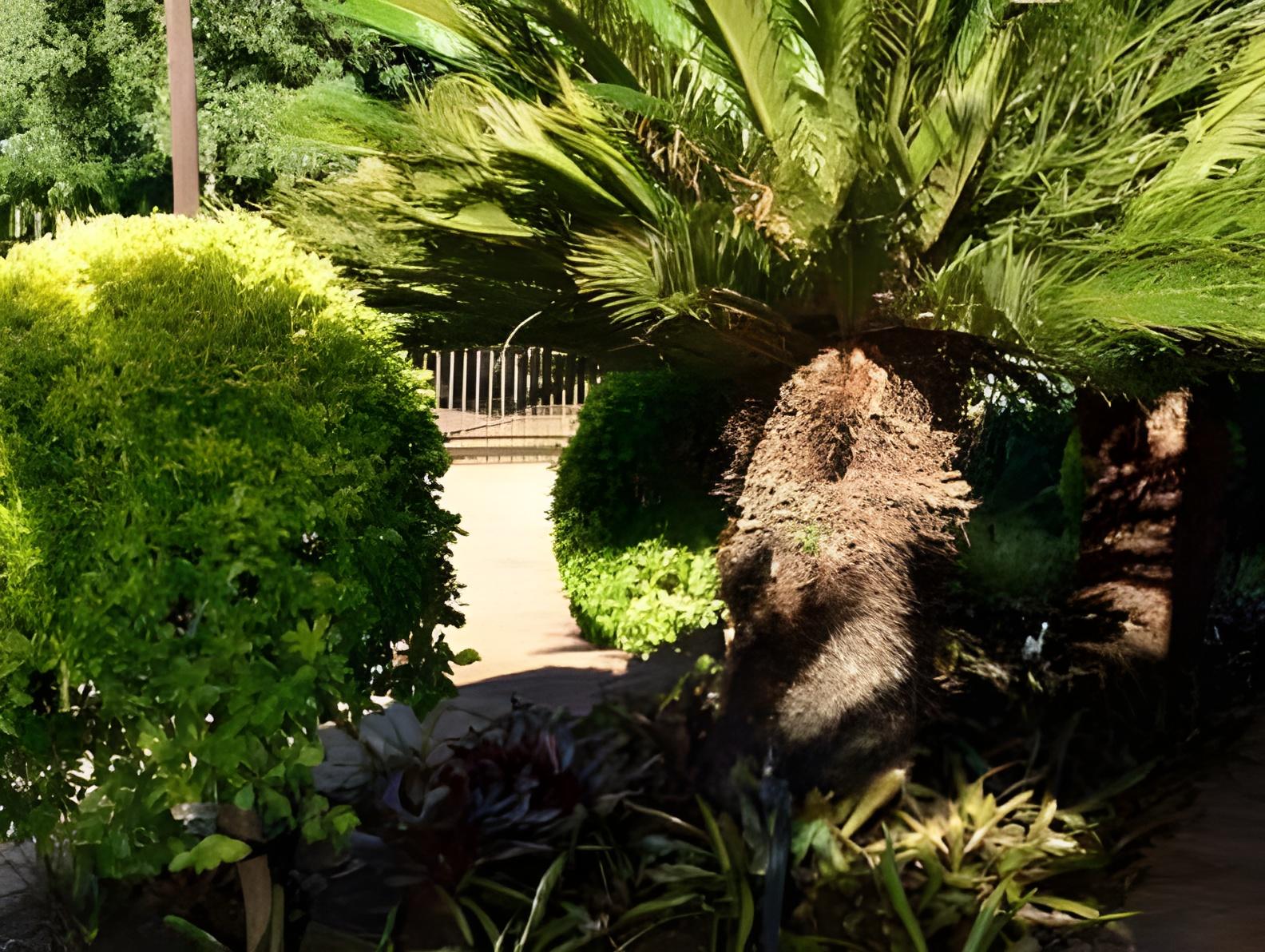 Cycas Guest House 18/35