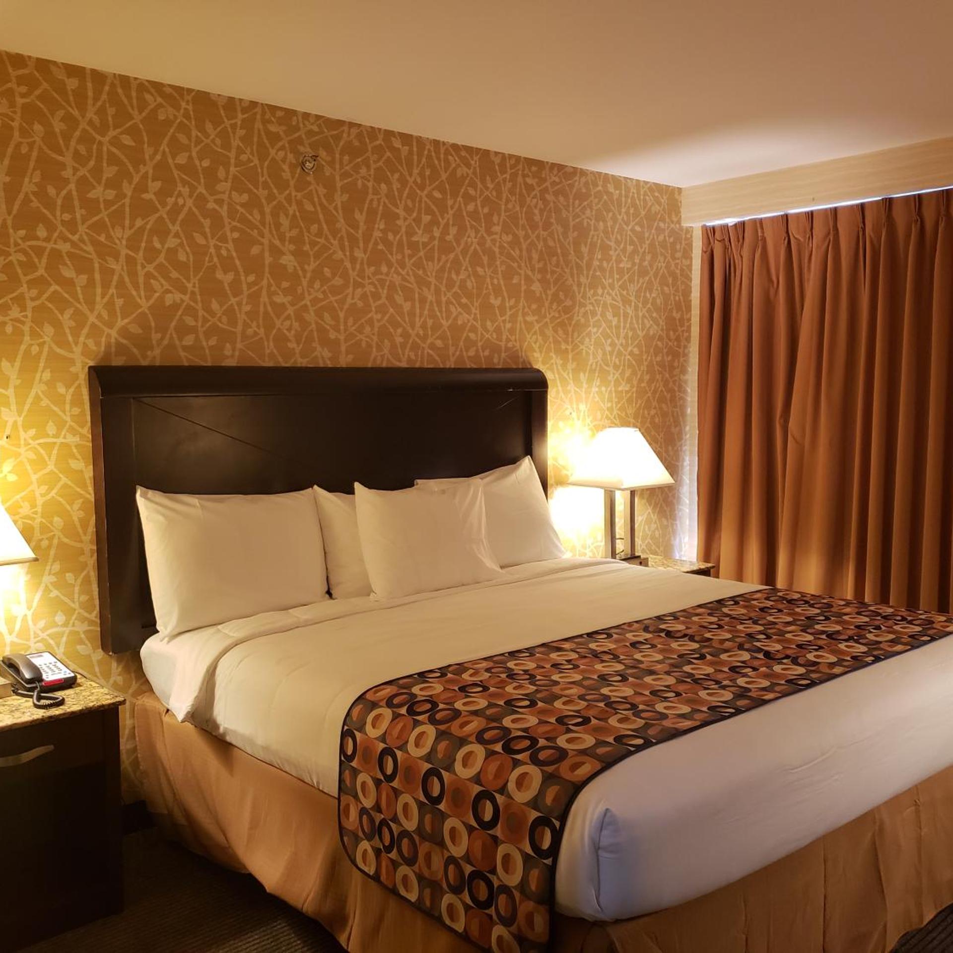 Elmhurst Hotel 18/50