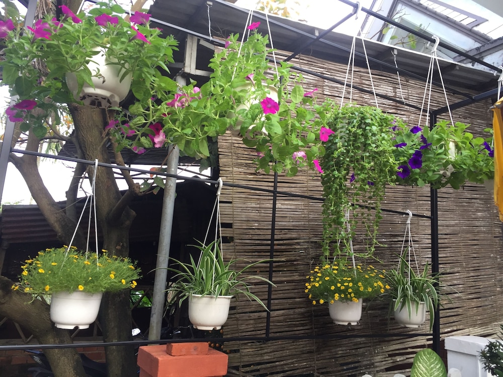 New Destination Hoi An Homestay photo5