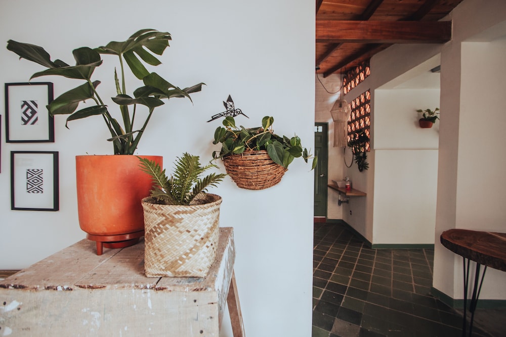 Centro Hostel Medellin Sede Playa 10/50