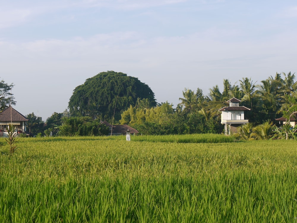 Rumah Dadong 34/50