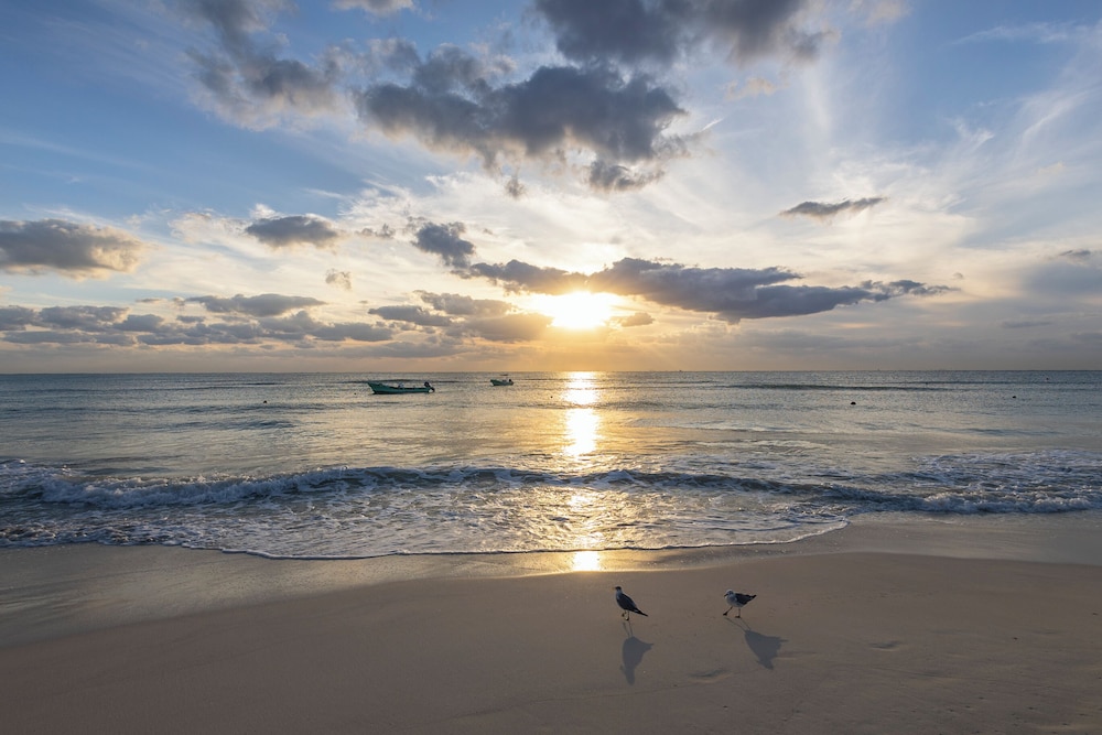 Areia Playa del Carmen 57/69
