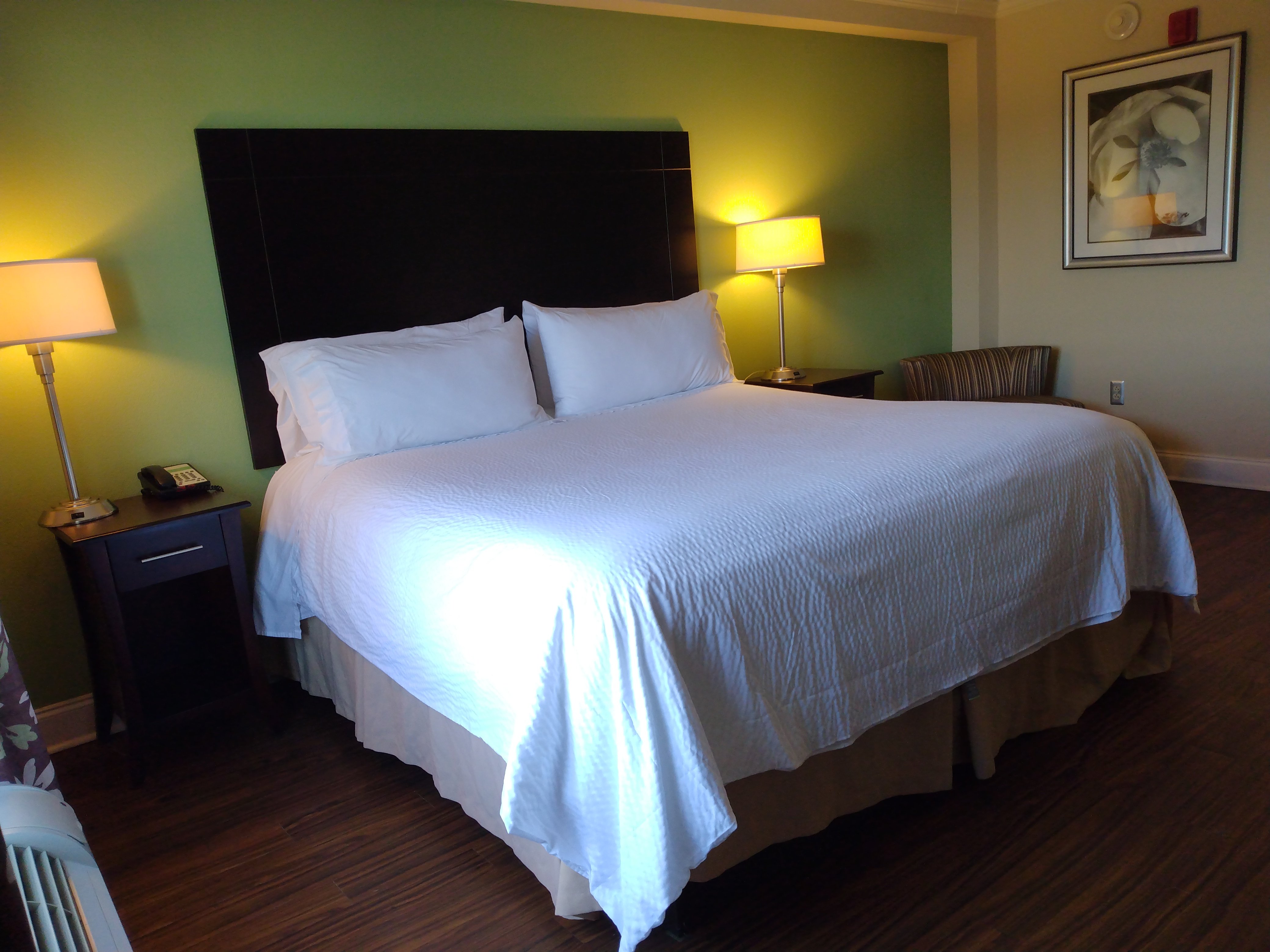 Holiday Inn Macon North 20/79