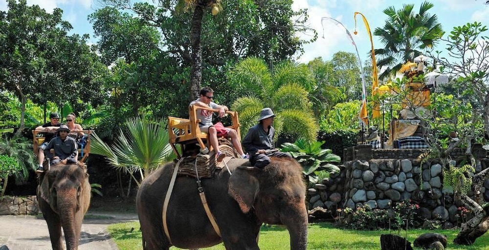 The Bali Purnati Center For The Arts - Adults Only 31/50