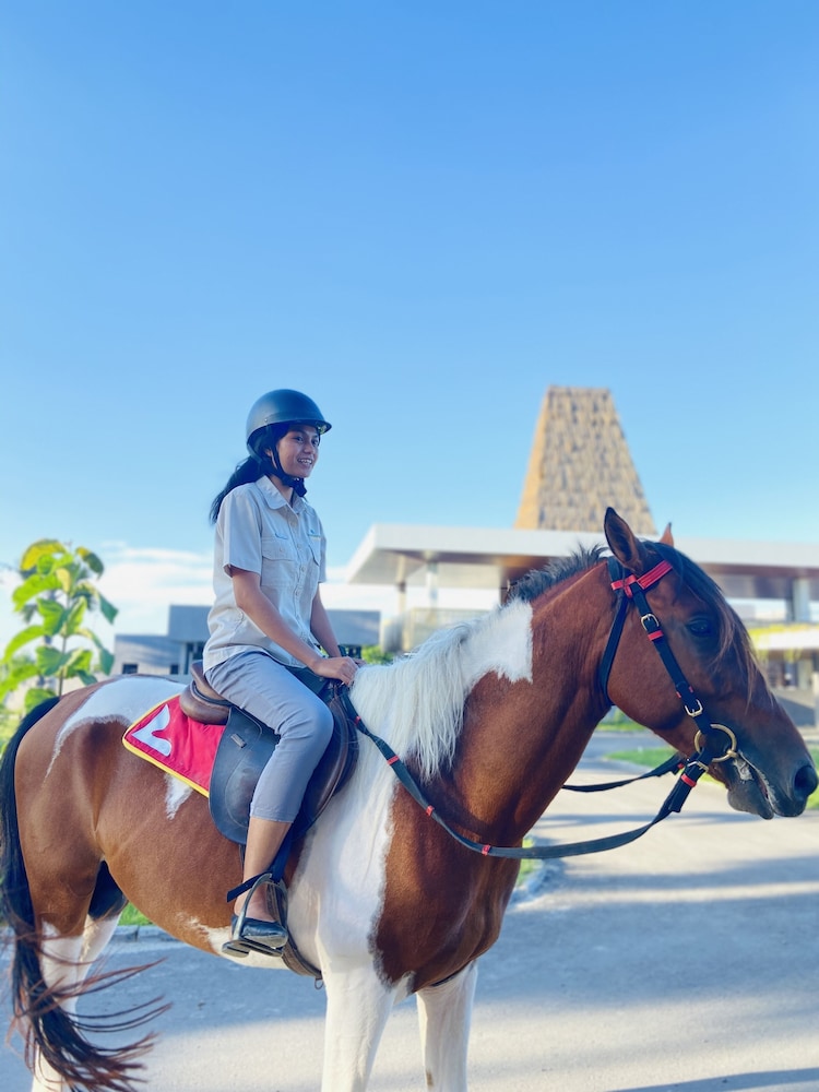 Kambaniru Beach Hotel and Resort 24/49