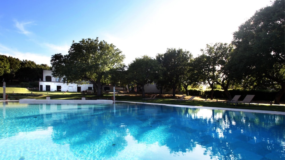 Tenuta Monacelle 12/43