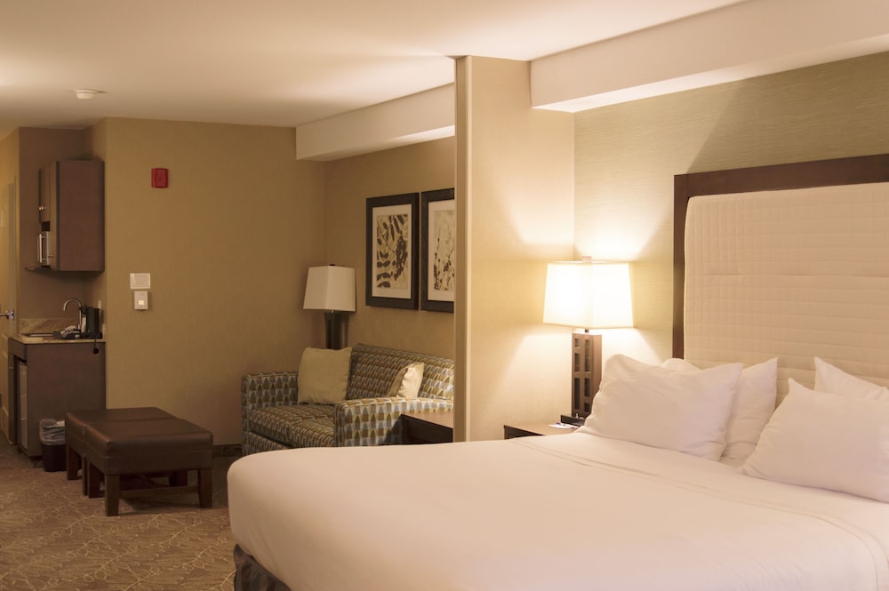 Suite, King Bed, Accessible