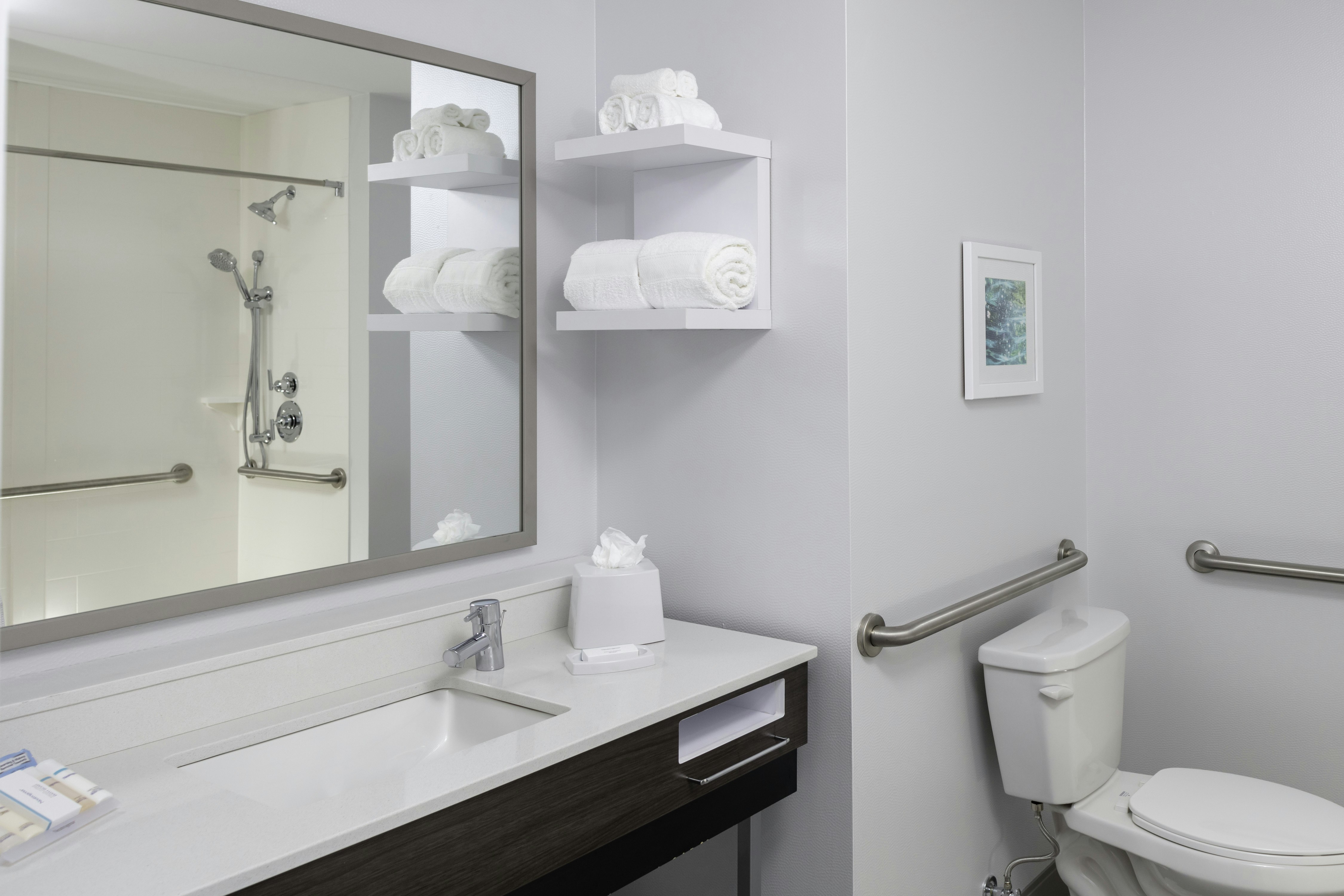 غرفة بسرير كينج لذوي الإعاقة، Hampton Inn Dunedin Fl 3/3