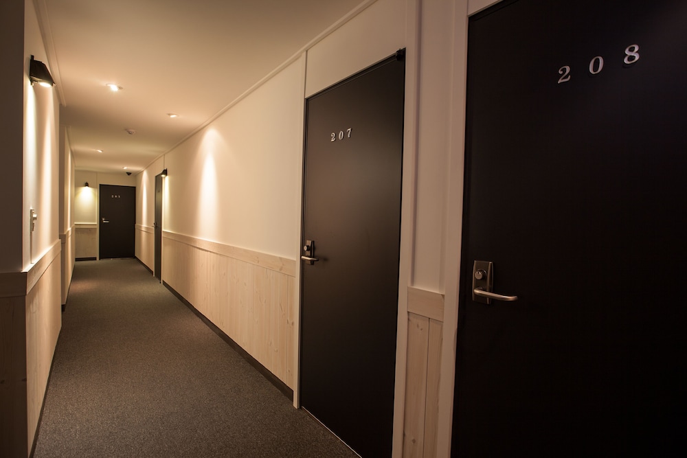 Petercat酒店Hongdae(Petercat Hotel Hongdae) 图片1