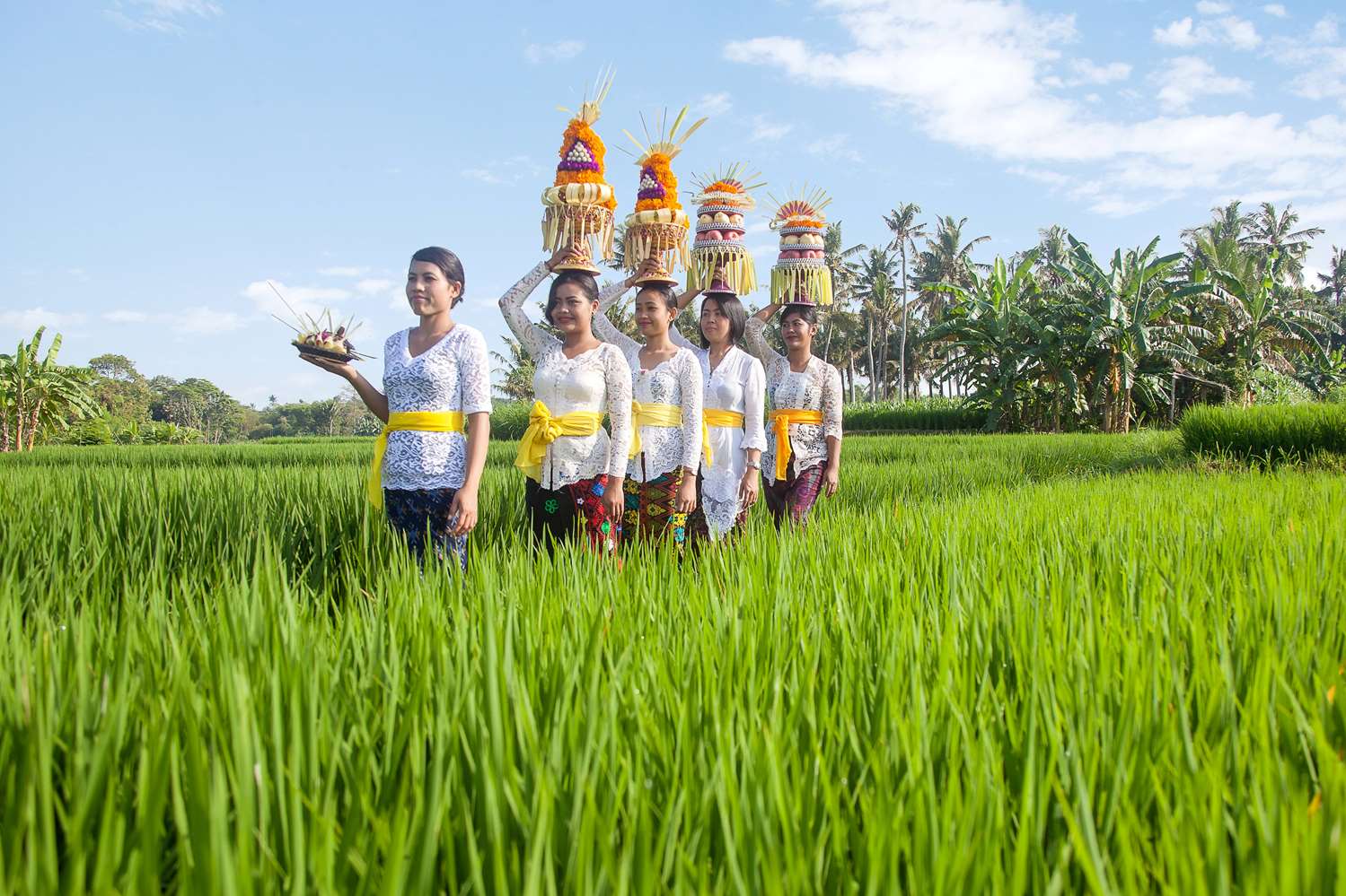 Wyndham Tamansari Jivva Resort Bali 25/46