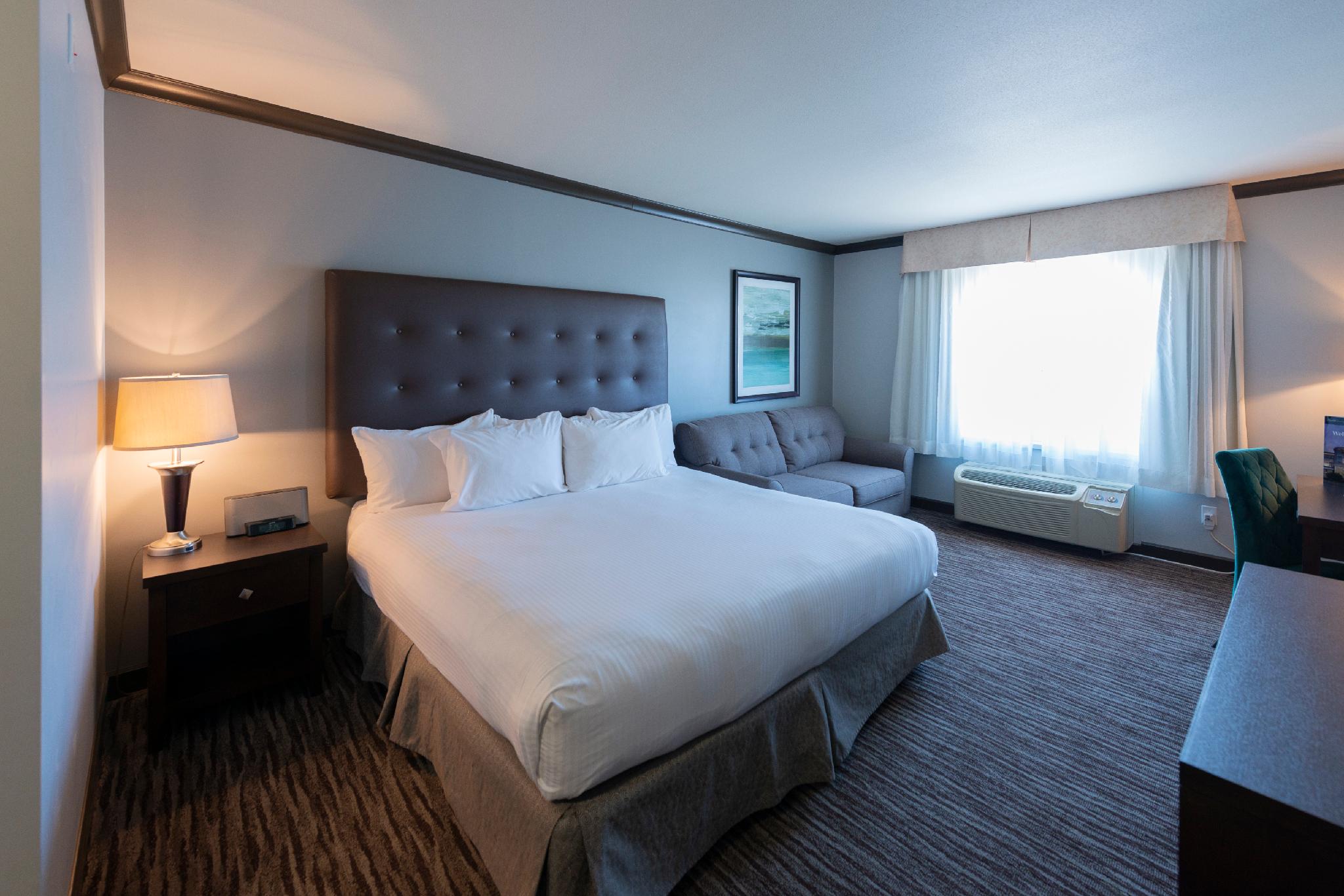 Superior, King Bed