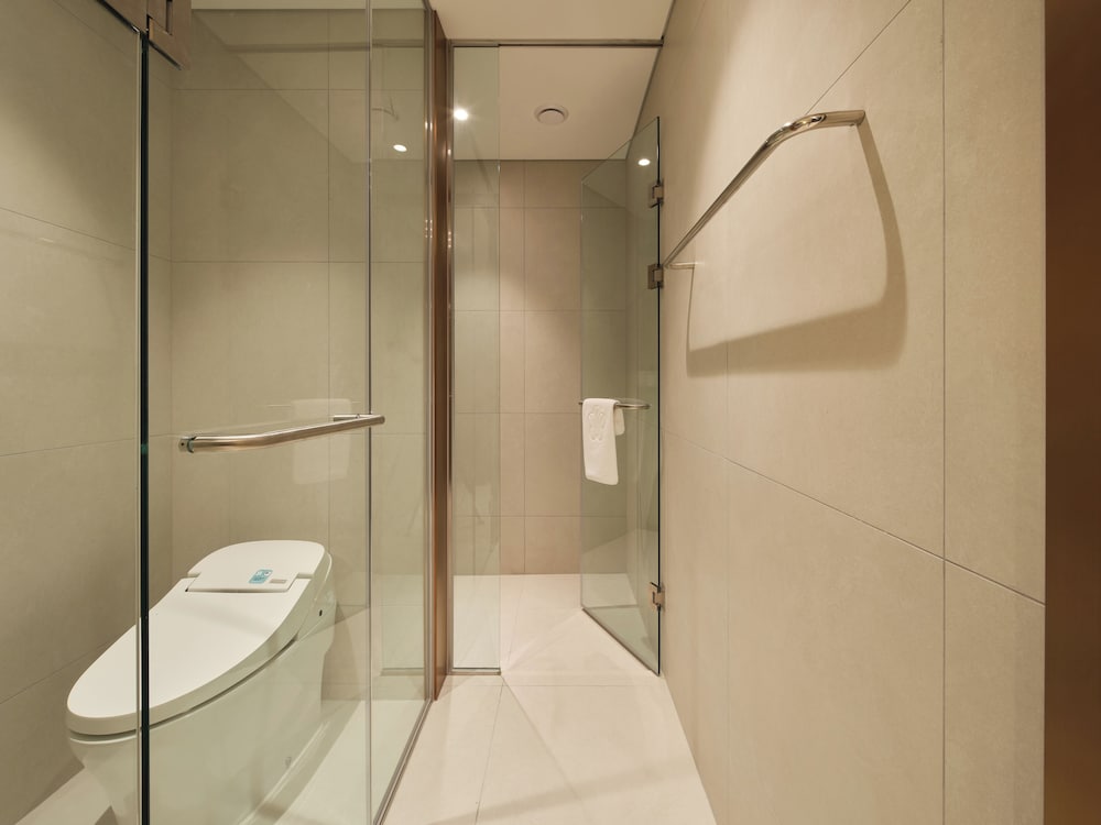 Stanford Hotel Myeongdong 45/50
