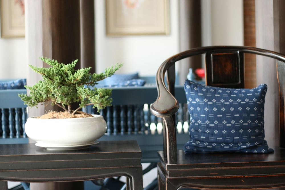 Saran Boutique Hotel Thapae 24/46