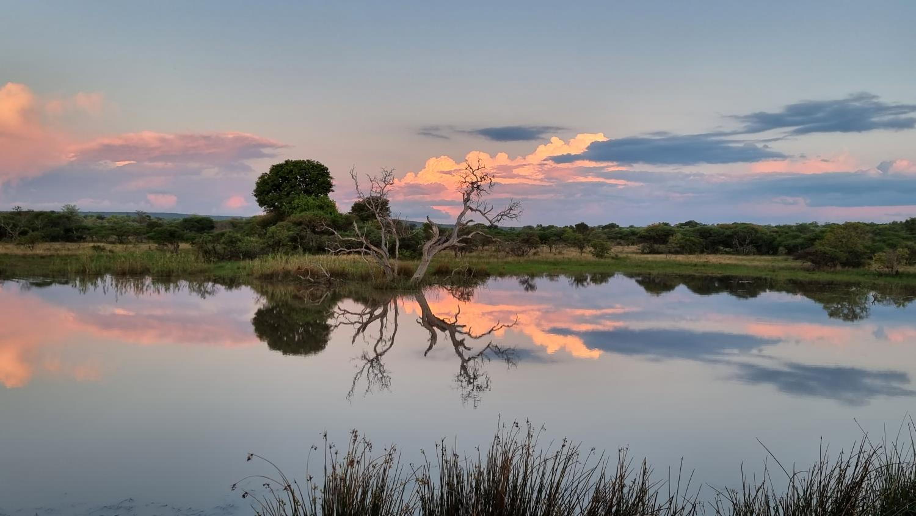 Bushwa Private Game Lodge 30/50