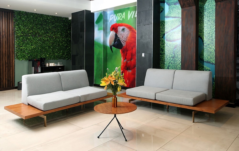Hotel Cultura Plaza 33/50