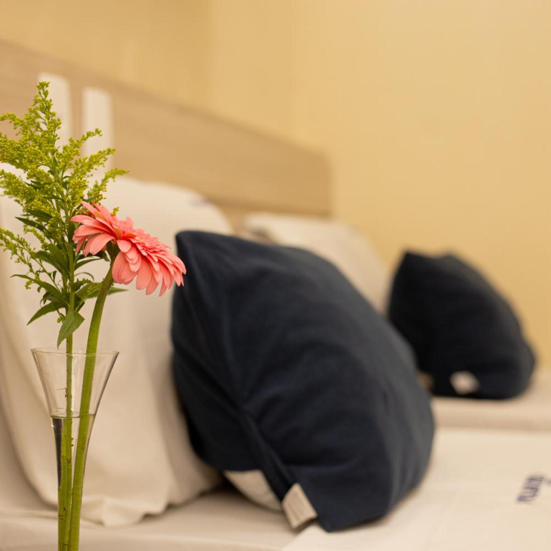 Polar Rio Hotel 9/50