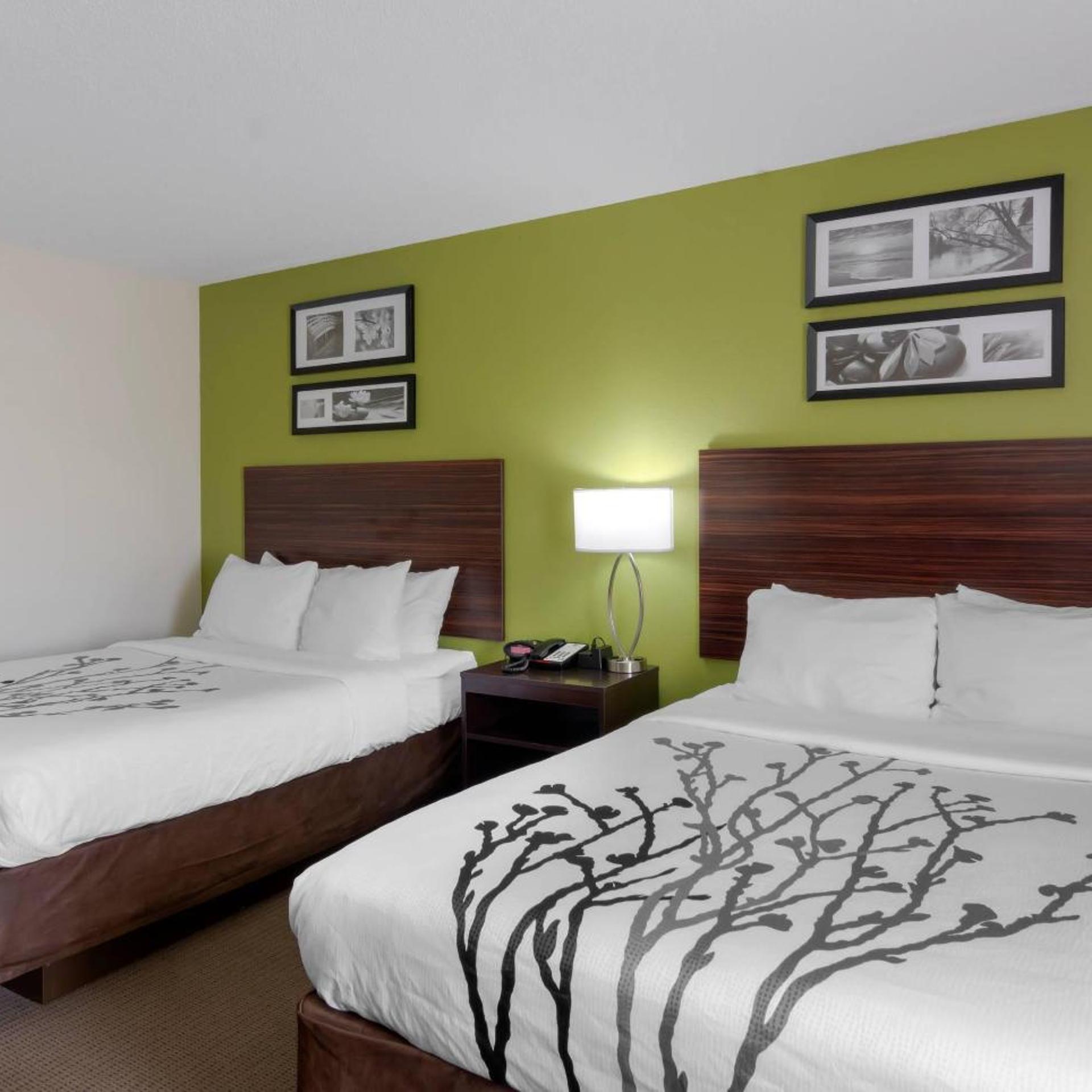 Room, 2 Queen Beds, Kitchenette