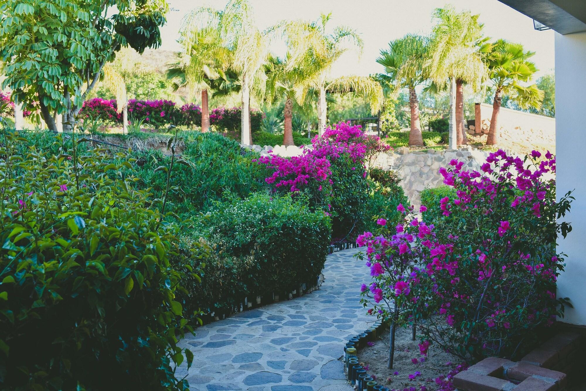 Hotel Hacienda Guadalupe 94/100