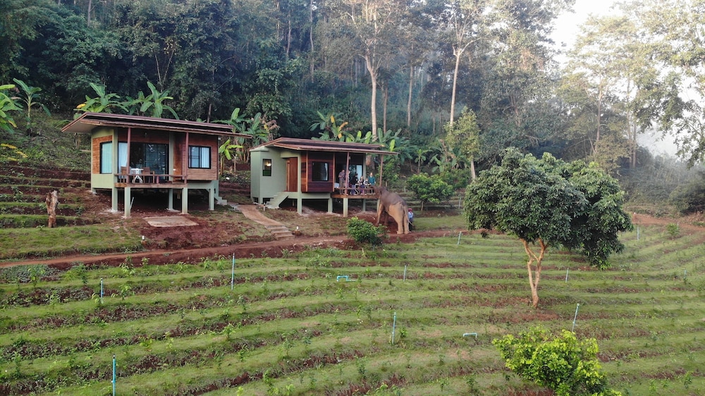 Chiang Mai Elephant Friends 38/50