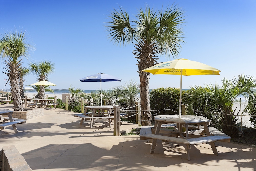 Sands Ocean Club Resort 11/59