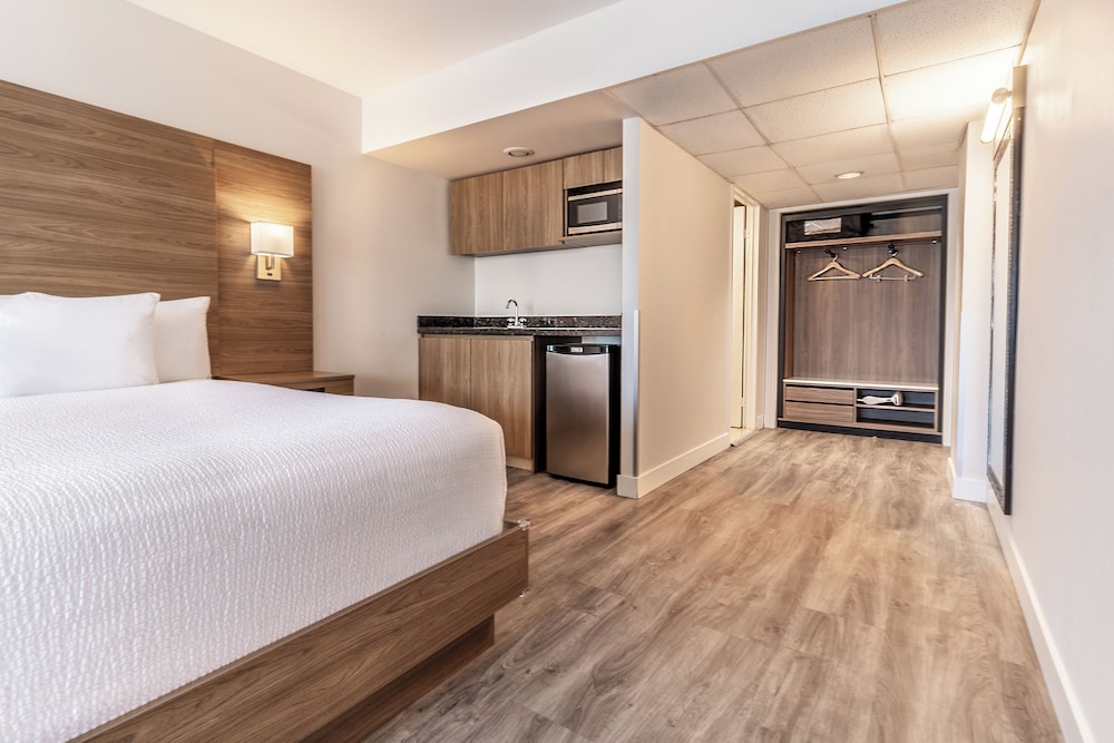 ROOM, KING BED, SOFA, KITCHENETTE, CORNER