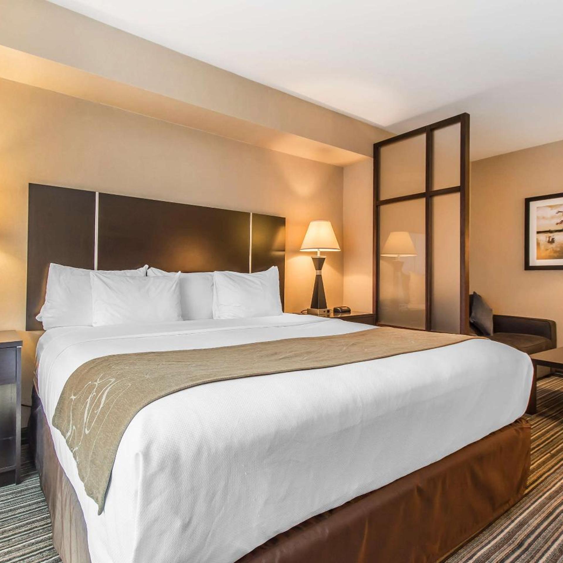 Room, King Bed, Sofa