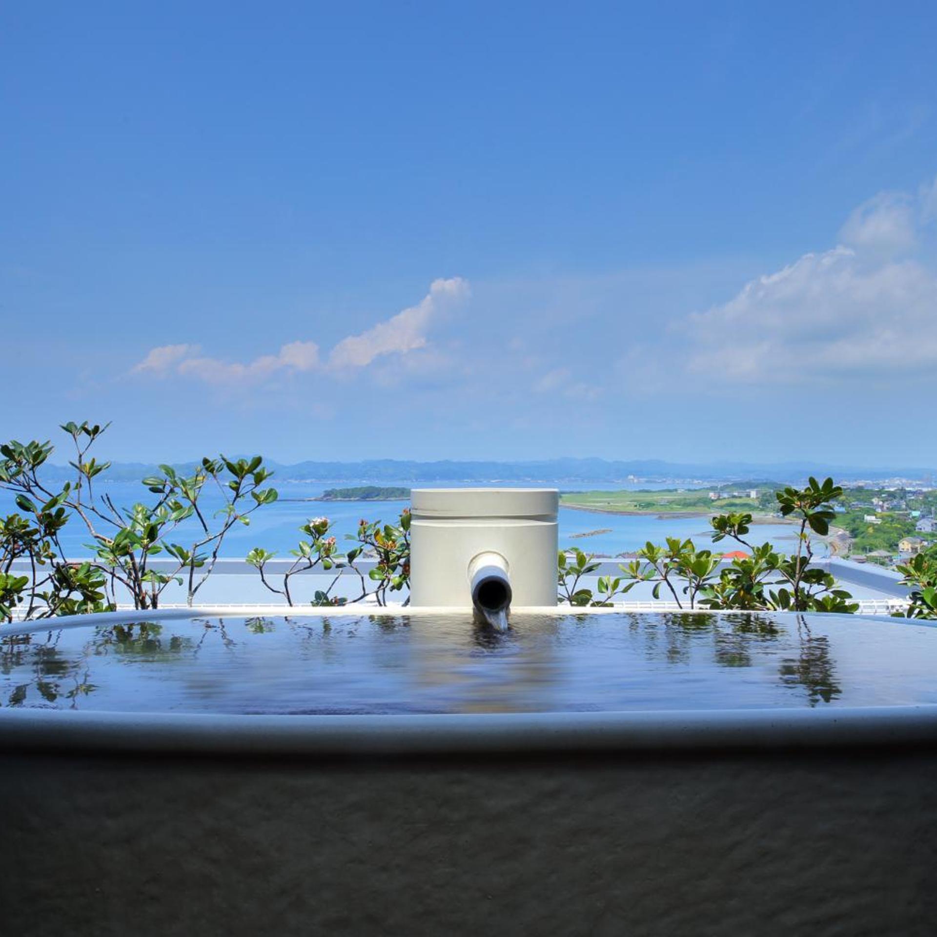The Shinra (ex Private Hotel & Spa Shinra) 32/38