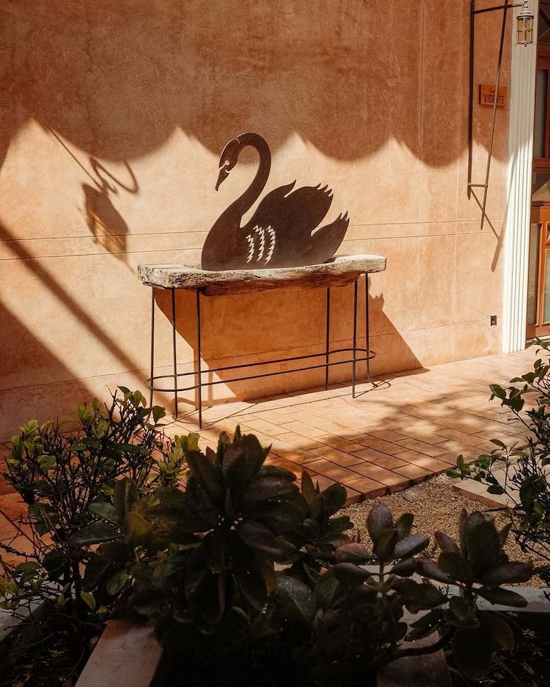Cigno Hotel 51/59