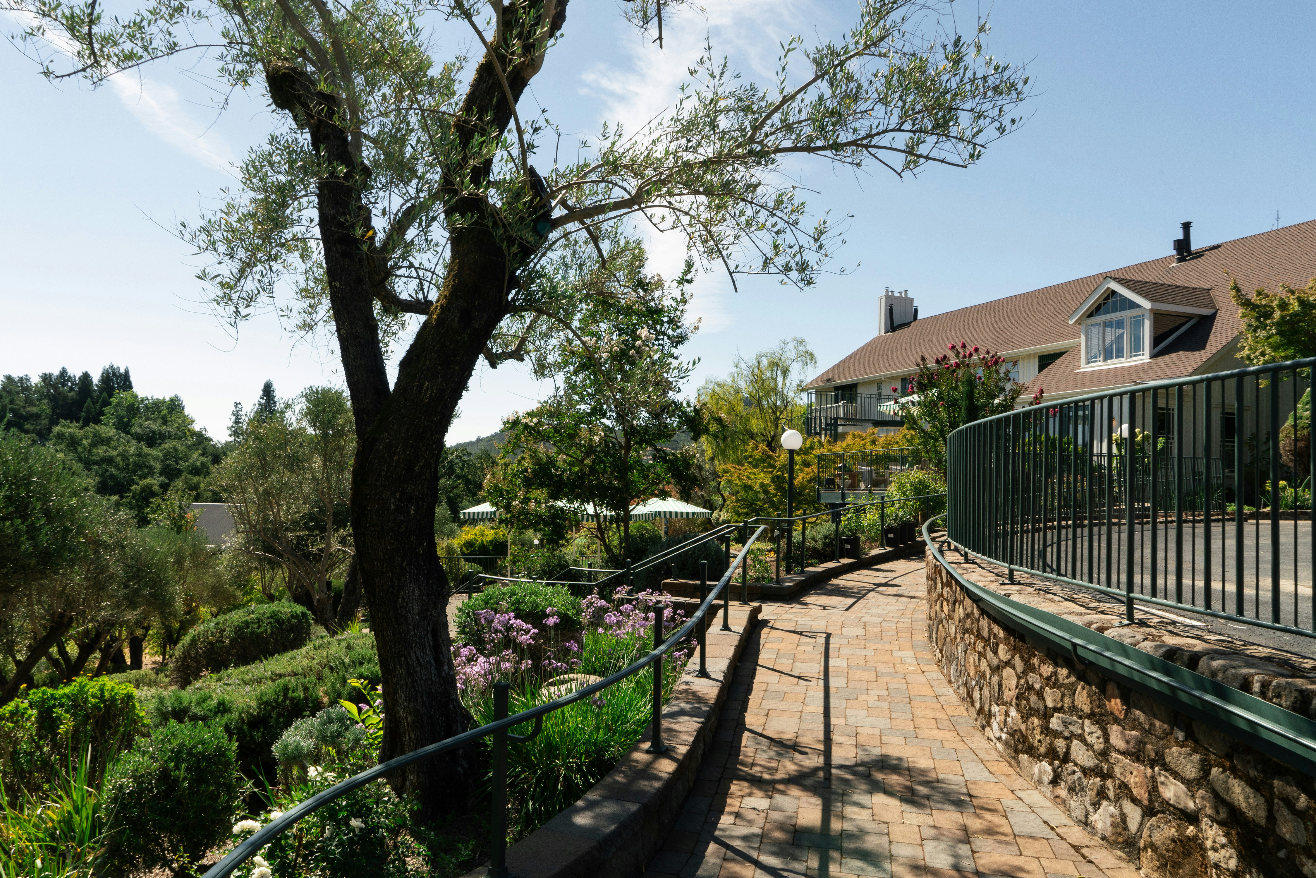 Wine Country Inn 69/74