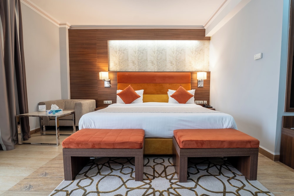 Golden Tulip Alexandre Hotel 21/62
