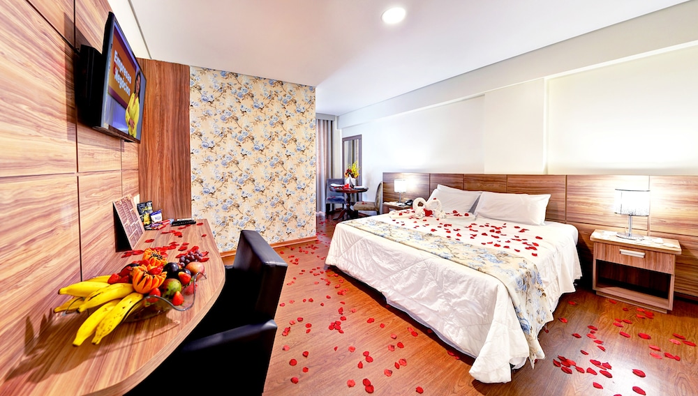 Porto Minas Hotel e Convencoes 27/71