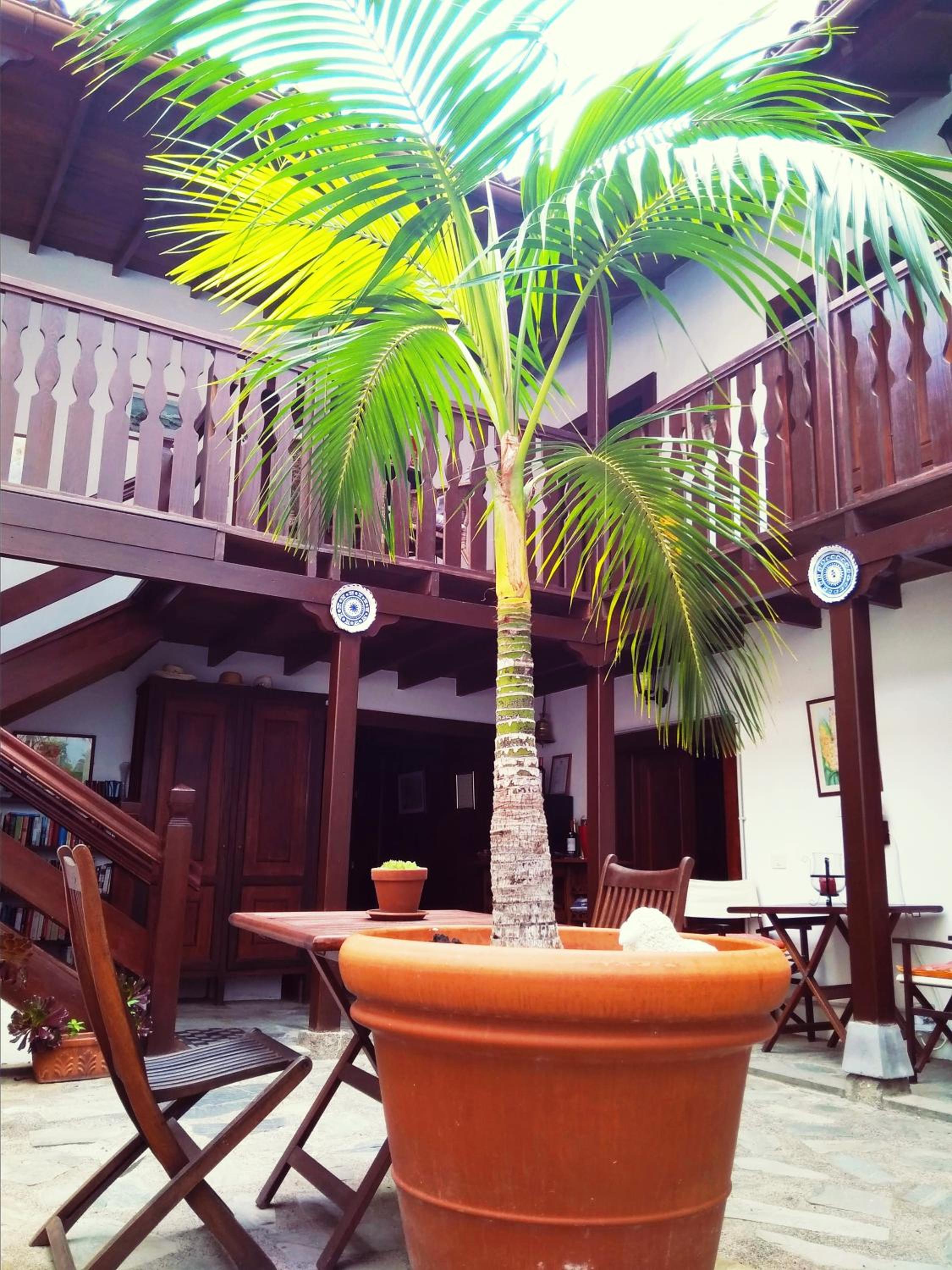 Casa Los Helechos 6/16