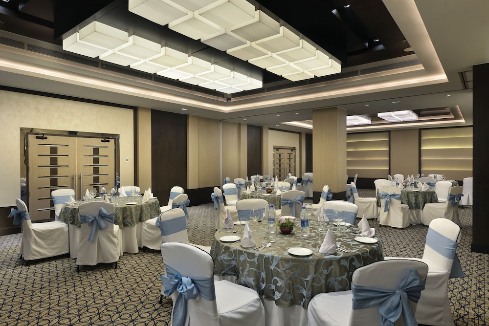 Park Plaza Gurugram 54/66