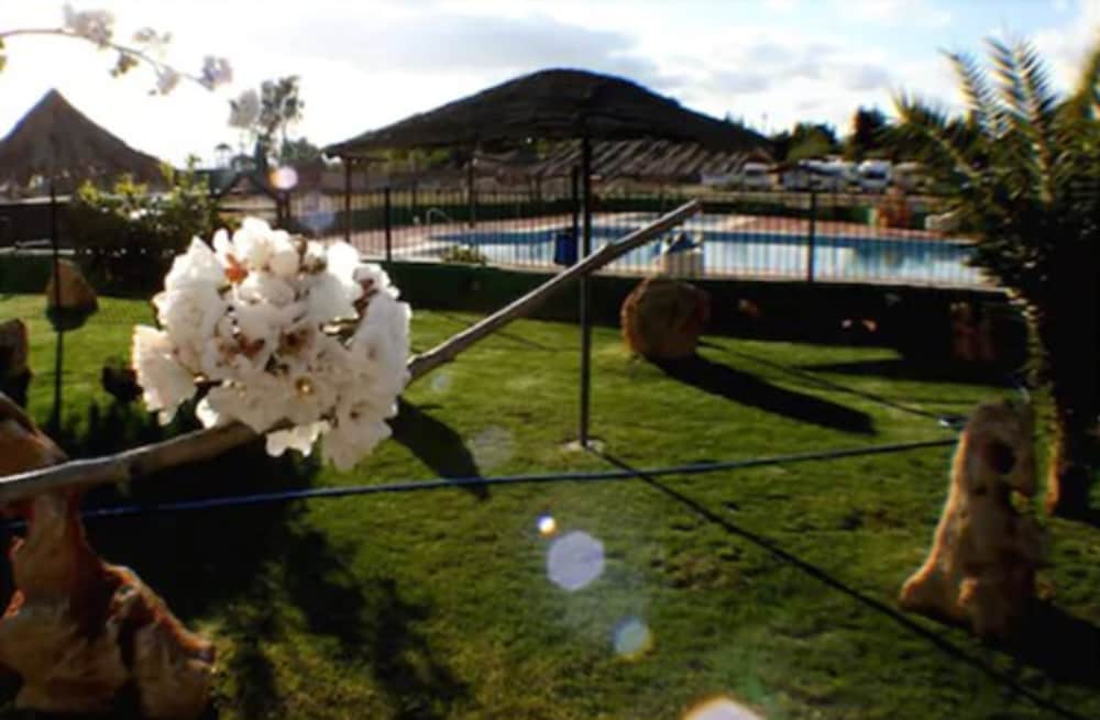 El Cortijo 39/50