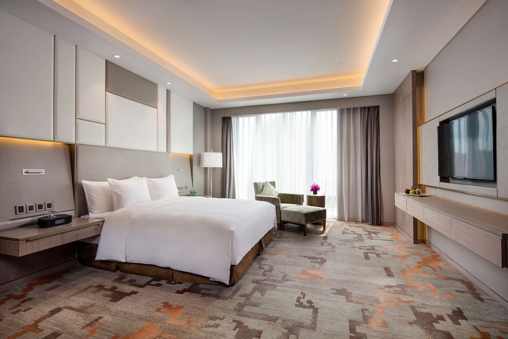 Radisson Exhibition Center Shanghai 22/65