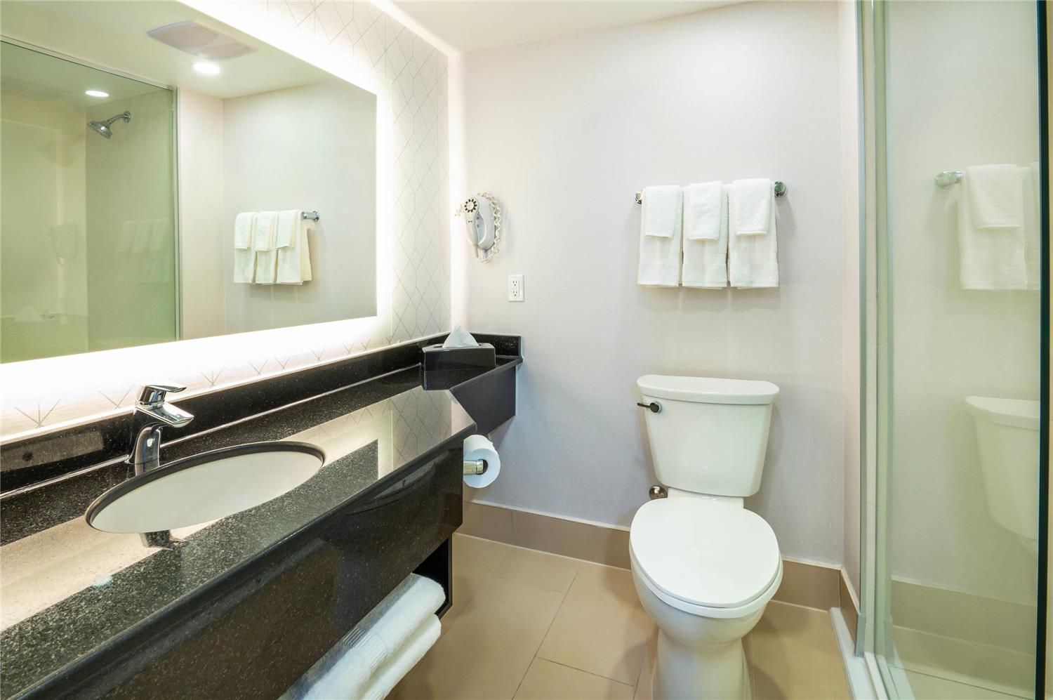 Comfort Inn and Conference Centre Toronto Airport 26/26