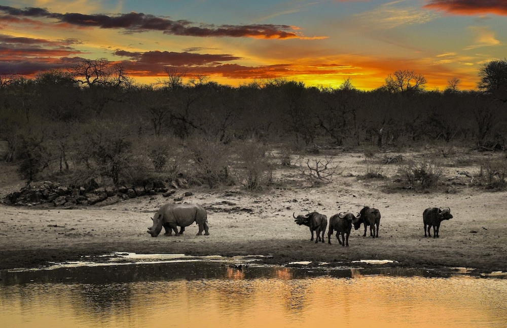 Ndiza Lodge & Cabanas 44/50