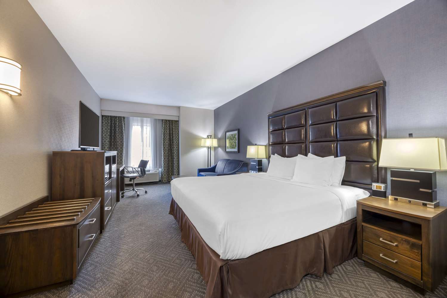 Room, King Bed, Accessible