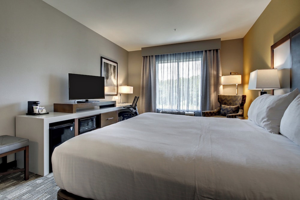 Holiday Inn Express Hotel And Suites Albany 29/67