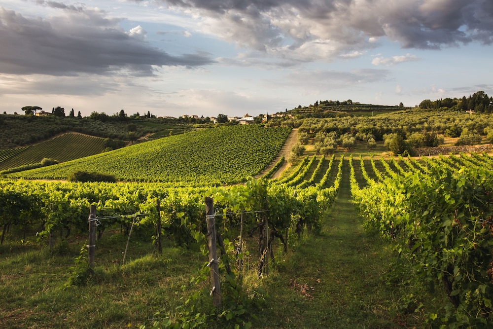Fattoria Querceto 63/69