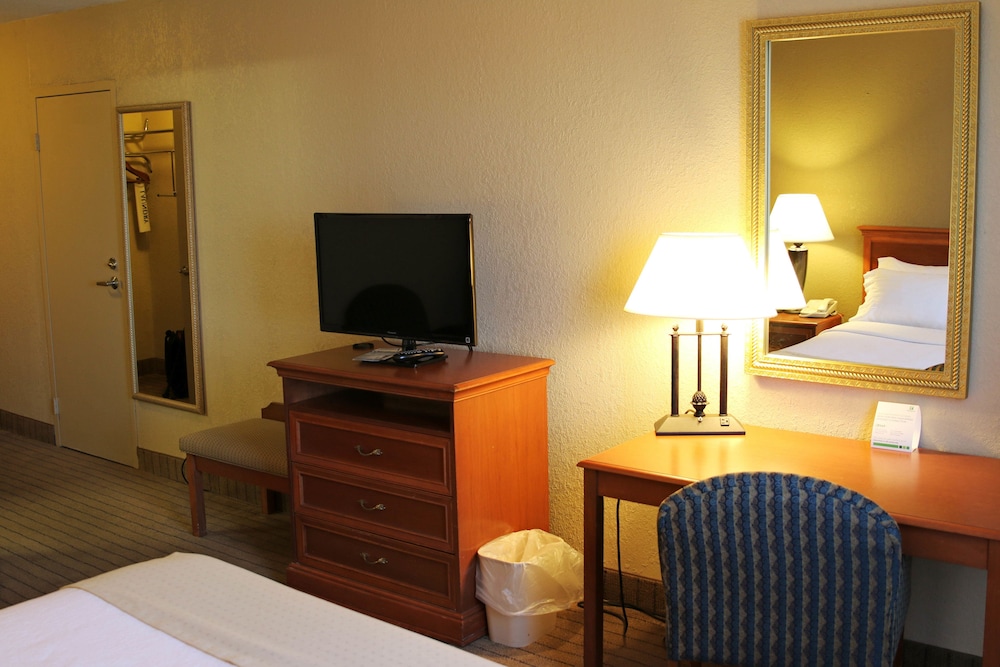 Holiday Inn Alexandria 19/42