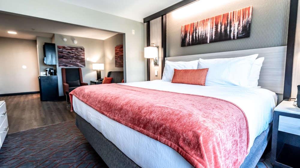 SpringHill Suites by Marriott Conyers 11/37