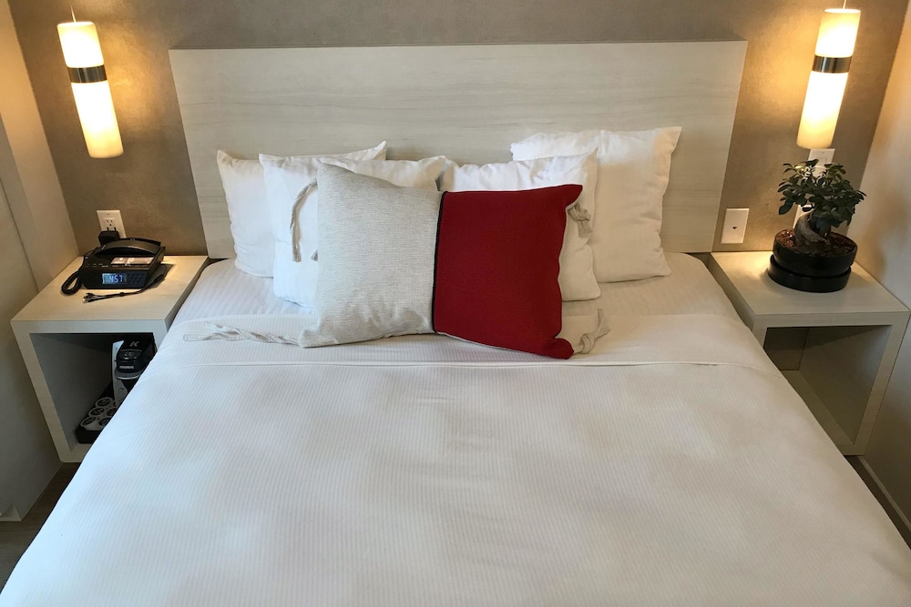 Insignia Hotel An Ascend Hotel Collection Member 11/29