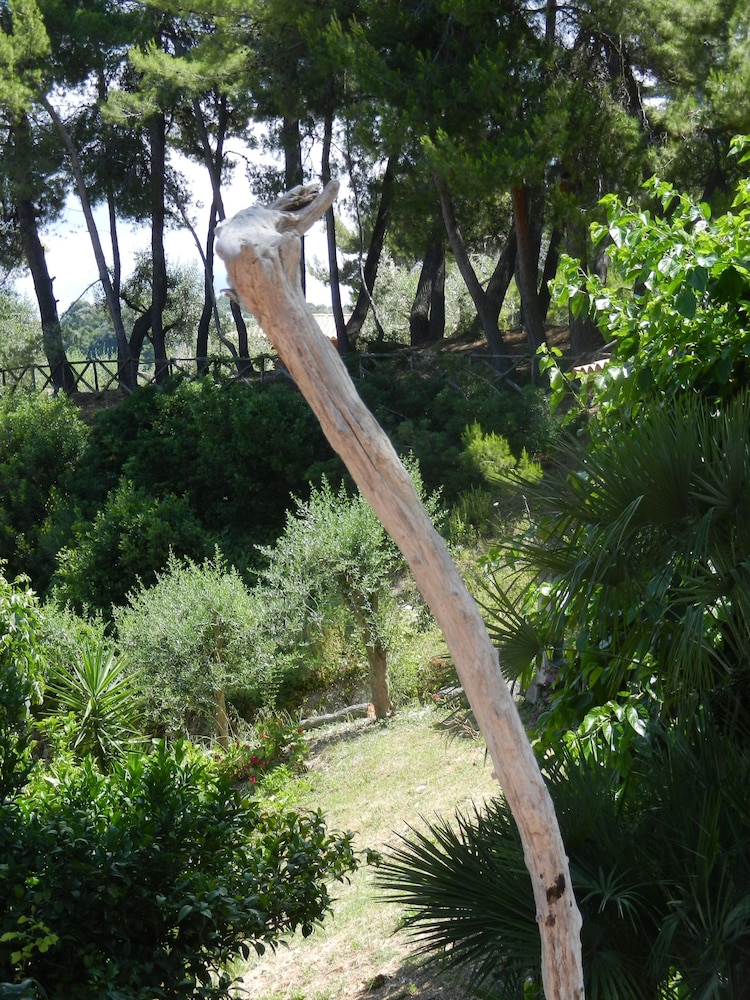 Villaggio Albergo Molino di Mare 13/24