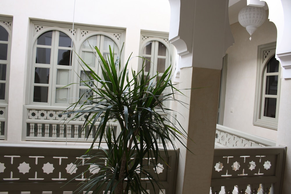 Riad Shama 27/75
