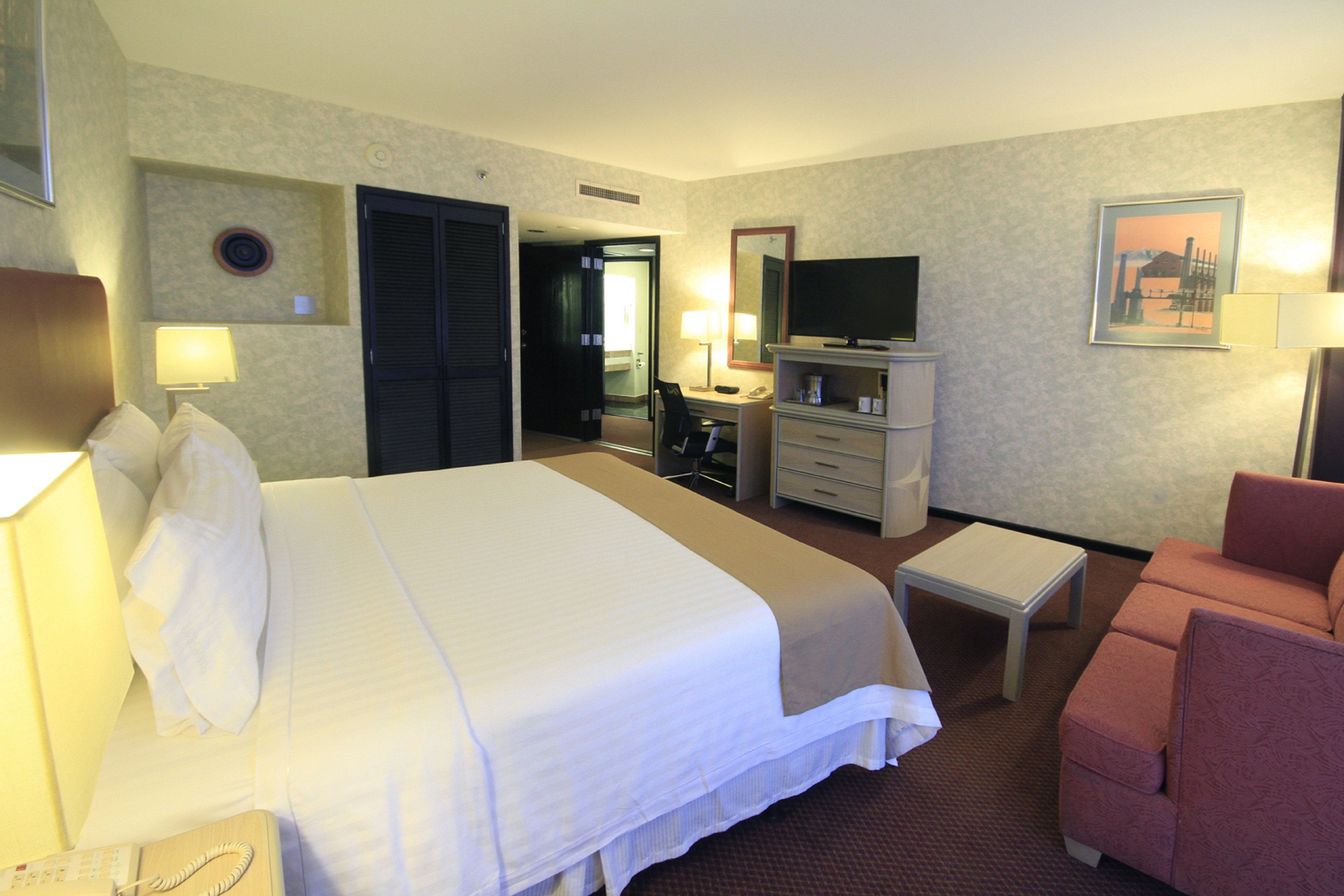 Holiday Inn Monterrey Parque Fundidora 18/78