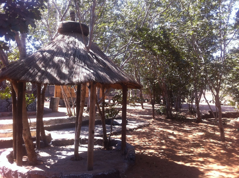 Bananyana Backpackers 24/26